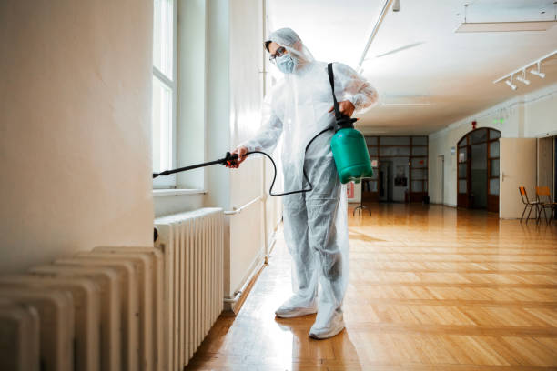 Best Real Estate Pest Inspections  in Golden Valley, AZ